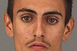 Commercial Thieves Caught with Multiple Stolen Vehicles