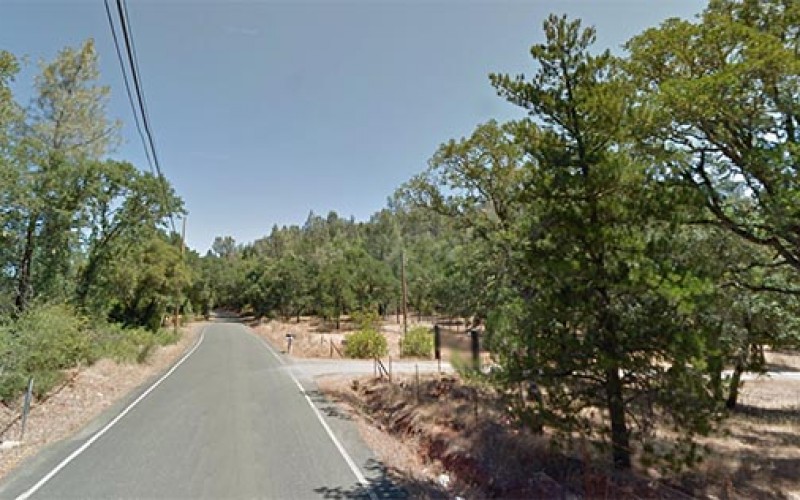 Marijuana grower sets “controlled burn” to save crop amid wildfire