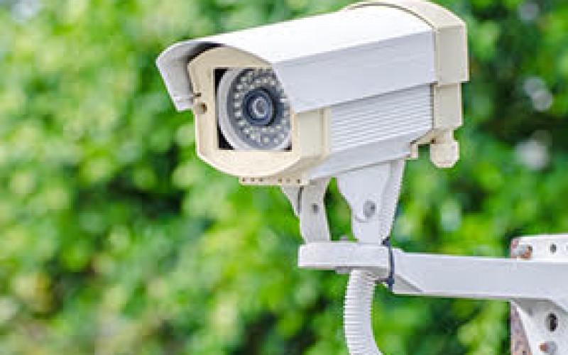 Burglars caught on surveillance by homeowners