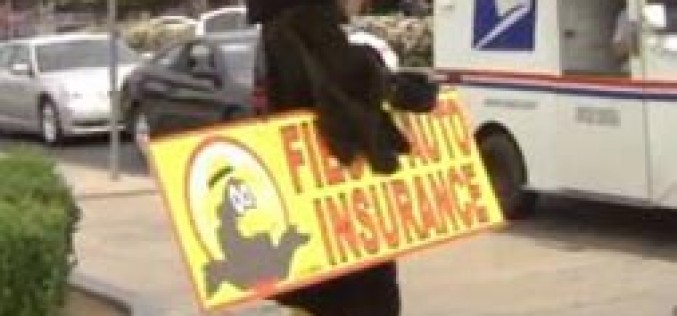 Suspect Tried to Steal Phone from Bird Mascot on Street