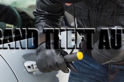 Cops Bust Up Kern River Valley Auto Theft Ring, Arrest 14