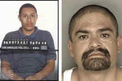 CHP Officer Nabs Los Angeles Murder Suspect