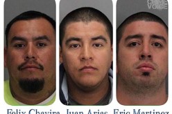 Four arrested for 49ers game felony assault