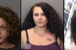 Anderson woman looking for a new roommate?