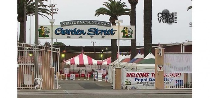 Gun Show Burglar Busted