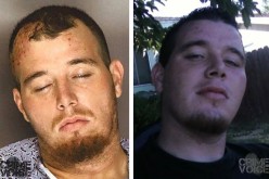 Folsom Burglar Who Crashed Into Van Has a Long History of Trouble