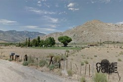 Husband and Wife Arrested for Rape in Taft