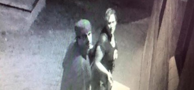 A Grinch Tried To Steal Christmas in Monterey