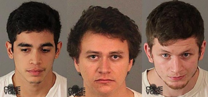 BB Gun Vandals Arrested for Approximately $35,000 Worth of Damage