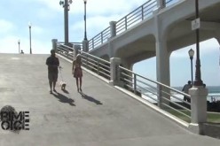 Suspect in Assault of Elderly Woman Arrested