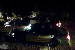 Burglar steals car and leads cops on chase