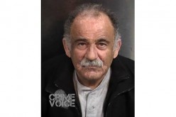 Man Prohibited from Owning Handguns Found with 500 Firearms