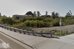 Two Arrested for Arson