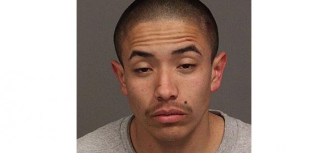 Vehicle Check Gets Stolen Car Back to Owner, Teen Arrested