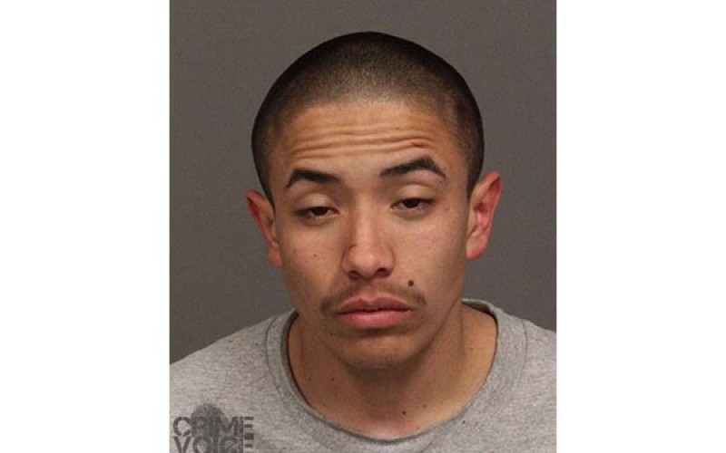 Vehicle Check Gets Stolen Car Back to Owner, Teen Arrested