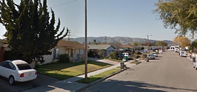 Suicide by Cop Attempt Ends in Arrest