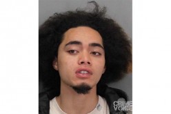Smash and grab car theft suspect arrested by Milpitas Police