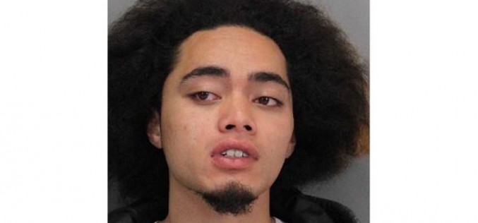Smash and grab car theft suspect arrested by Milpitas Police