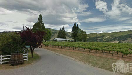 Redwood Valley vineyards, near where the Akins live.