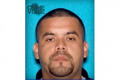 Gang Member Arrested on Gun-Related Charges