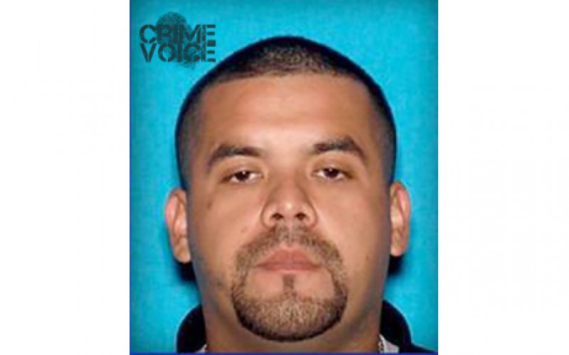 Gang Member Arrested on Gun-Related Charges