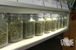 Three Arrested in Marijuana Dispensary Theft