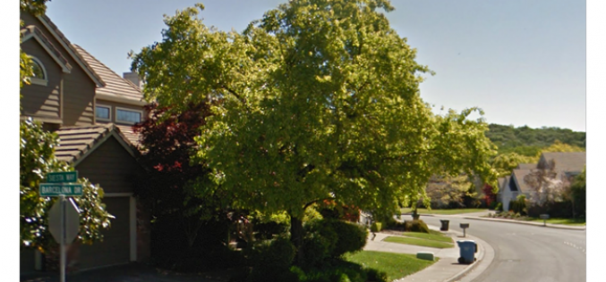 Vigilant UPS driver brings break in Santa Rosa burglary investigation