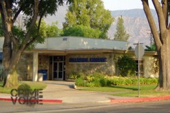 Domestic Violence at Public Library Leads to Manhunt & Arrest