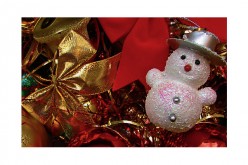 Petty theft reported more than 354 times during Christmas shopping rush