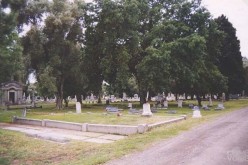 Woodland Rape Suspect Appears in Court