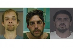 Car thieves foiled by stolen check