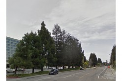 2016 brings new round of assault, vandalism, and public intoxication charges