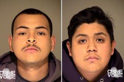 Honda Thieves Busted