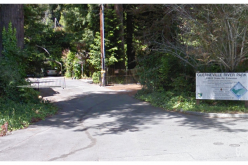 K9 Assists in Taking Pants-less Man into Custody