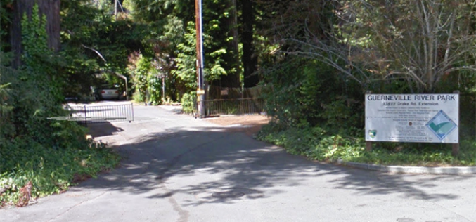 K9 Assists in Taking Pants-less Man into Custody