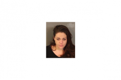 Roseville Woman Arrested for Vehicle Burglary