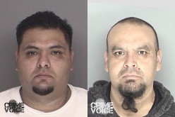 Hidden Meth Doesn’t Fool K9 Cop