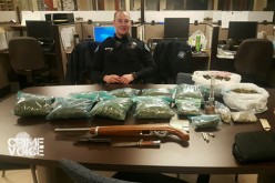 Marijuana and Gun Discovered During Routine Traffic Stop