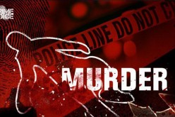 JOINT INVESTIGATION RESULTS IN MURDER ARREST