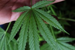 Siskiyou, Butte County Sheriff’s Office join up to clear out suspected drug lab