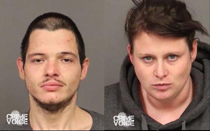 Two Popped for Petty Theft, Possession