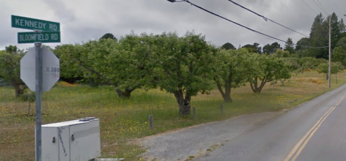 Person of Interest Identified in Animal Poisoning Deaths Near Sebastopol