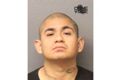 Gang Fight Ends with Eight Arrests