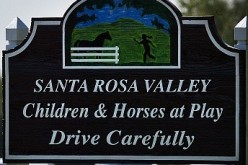 Citizen Report Helps Nab Burglars