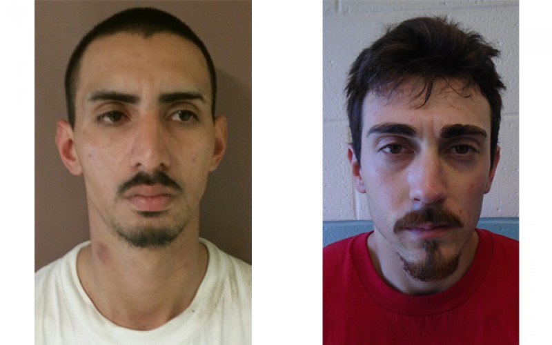 Thieves Jump Fence in Broad Daylight, Phoned In by Resident