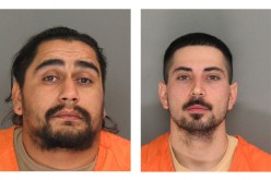 Traffic Stop Leads To Weapons, Gang Charges