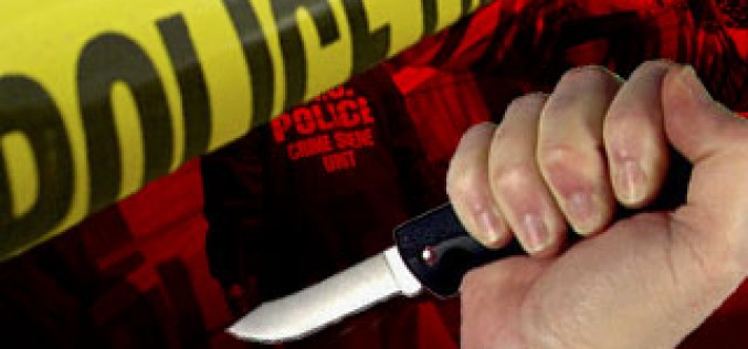 Son Allegedly Murders Mother, Stabs Two Other Victims, Steals a Car