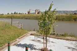 Petaluma Pedestrian Rescued; Escaped Santa Rosa Inmate Recaptured