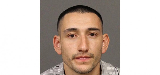 Deputy Corrals Fleeing Suspect