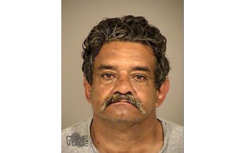 Panty Pilferer Pinched